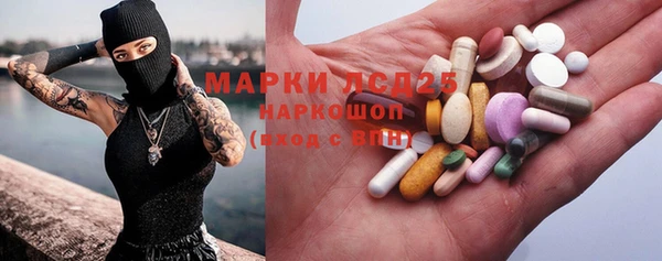 твердый Новозыбков