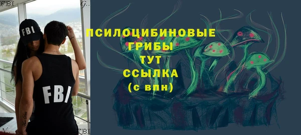 твердый Новозыбков