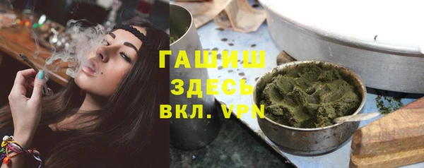 твердый Новозыбков