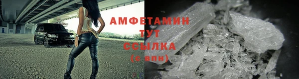 твердый Новозыбков