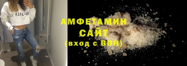 твердый Новозыбков