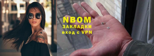 твердый Новозыбков