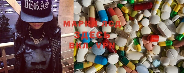 твердый Новозыбков