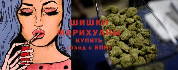 твердый Новозыбков