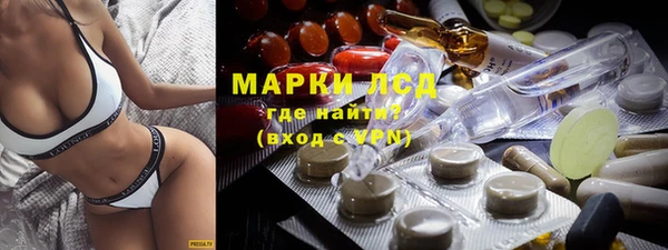 твердый Новозыбков